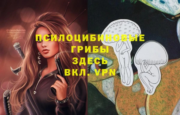 мдма Белокуриха