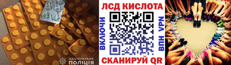 дарк нет наркотические препараты  закладки  Тогучин  ЛСД экстази кислота 