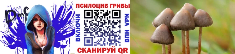 купить  цена  Тогучин  Галлюциногенные грибы ЛСД 